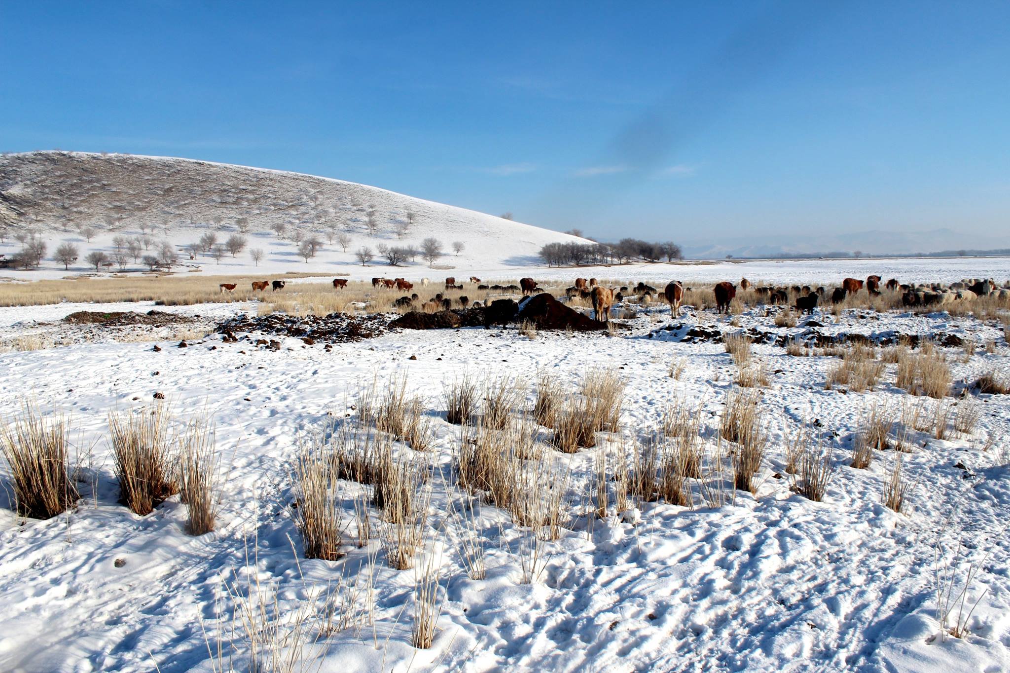 БИЧЛЭГ: Болзошгүй зудад бэлэн эсэхийг нягталж, үүрэг өглөө
