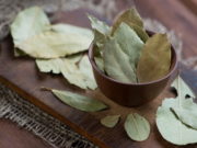 Лаврын навчны шид… Лаврын навч