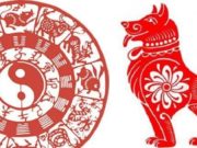 Гал нохой жилийн шинийн 15-н буюу… Гал нохой жилийн шинийн 15