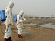 Шүлхий өвчин гарсан тул Булган, Хөвсгөл… Шүлхий өвчин гарсан тул Булган, Хөвсгөл