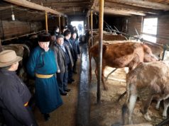 Их Хурлын дарга М.Энхболд Төв аймгийн… Их Хурлын дарга М.Энхболд Төв аймгийн иргэдтэй уулзаж байна