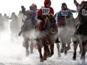 Хурдан морины уралдаан 06-р сарын 01-нийг хүртэл болохгүй Morin uraldaan