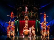 Дэлхийн цирк дөрөвдүгээр сарын 1… Дэлхийн цирк дөрөвдүгээр сарын 1...