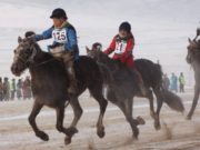 Аймгуудад хурдан морины уралдаан зохион байгуулахгүй байхыг үүрэгдэв уралдаан