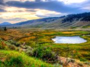 ДЭЛХИЙН УСНЫ ӨДӨР: 1163 булаг, шанд ширгэжээ усны өдөр