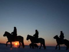 Баян-Өлгий аймгийн хил орчмын сумдаар ЗӨРЧИЛ буурчээ