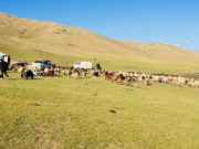 Малтай айл өрхүүд газраа сонгож нүүхэд бэлэн боллоо maltai ail orh