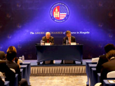 “Эрдэнэс Тавантолгой”-н хувьцааг худалдах эцсийн шийдвэр гараагүй