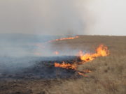 СЭРЭМЖЛҮҮЛЭГ: Хөвсгөлд ойн түймэр гарчээ