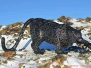 ФОТО: Залуус төмрийн хаягдлаар БҮТЭЭЛ хийжээ Gowi-Altai aimgiin_zaluu_urlal