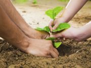 Амьдрах орчноо сайжруулж, МОД ТАРЬЦГААЯ Mod tarih_undesnii odor