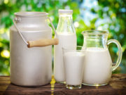 Хүүхэд багачуудад 15 мянган ширхэг сүү, тараг бэлэглэнэ delhiin suunii odor