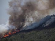 Сэлэнгэ аймагт гал түймрийн голомт илэрчээ gal tuimer