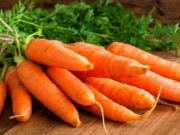 Хүүхдийн өсөлт хөгжилтөд ШАР ЛУУВАН онцгой сайн huuhdiin osolttod sain_shar luuvan