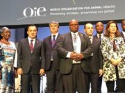 Казакстан манай улсаас ҮХРИЙН МАХ худалдан авах хүсэлтэй байна mal amitnii eruul mendiin baiguullagiin chuulgan