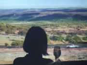 БОДЛЫН ӨНГӨ – Мэдрэлийн “эм” өгөөч medreliin emch