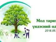 Маргааш буюу БЯМБА гарагт бүх нийтээрээ МОД ТАРИНА mod tarih odor