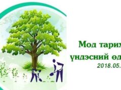 Маргааш буюу БЯМБА гарагт бүх нийтээрээ МОД ТАРИНА mod tarih odor