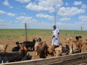 Баян-Өлгий аймгийн залуу малчдыг малжуулах хөтөлбөрт хамруулна maljuulah_hotolbor