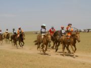 Монгол хүний хамгийн дуртай баярын нэг НААДАМ morin uraldaan