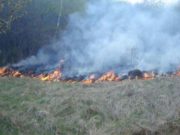 41 суманд 56 удаагийн ой, хээрийн гал түймэр гарчээ ! oi_heeriin_tuimer