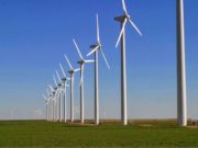 Сайншандаас таван км зайд байрлах салхин паркад нийт 25 сэнс босно sainshand_salhin_park