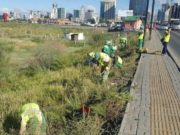 Харшлын эсрэг “Шарилжгүй Улаанбаатар”аян явагдана shariljgui_UB