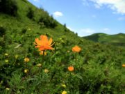 Улаанбаатар хотод өдөртөө 25 хэмийн дулаан байна tsag agaariin medee