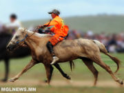 Унаач хүүхдүүдийг хурууны хээгээр цахимд бүртгэнэ unaach huuhed