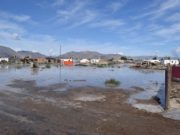 Үерт өртөөд буй Баян-Өлгий аймагт туслахыг уриалаа bayn-olgii-uyer