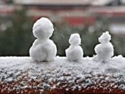 Говь-Алтай аймагт цасаар шуурчээ! tsas_orloo