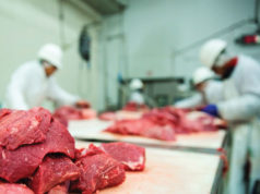 Үхрийн цул махны үнэ нэмэгджээ! uhriin_mah_une