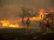 Калифорни мужид ОЙН ТҮЙМЭР дэгдээд байна California-oin-tuimer