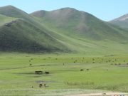 Улаанбаатар хот хөдөө аж ахуйн бүстэй боллоо hodoo-aj-ahuin-bus