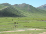 Малтай иргэдийг нүүлгэх ажил 97.5 хувьтай байна maltai-irgediig-hotoos-nuulgene