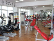 Хөнгөлөлттэй үнээр үйлчилэх фитнесс клубүүд нэмэгдэж 22 боллоо pitness-club