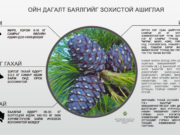 Ойн дагалт баялаг ашиглах ЗӨВЛӨМЖ oin-dagalt-baylag