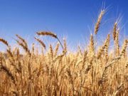 Тариалангийн бүс нутгаар цочир хүйтрэх төлөвтэй байна tarialangiin-bus-nytag