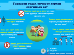 Найман настай хүүхдэд “тарваган тахал” өвчний сэжиг илэрчээ! tarwagan-tahal