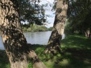 СЭРЭМЖИЛ: “Уу” буланд усанд живж амиа алджээ! uu-bulan-hun-amia-aldjee