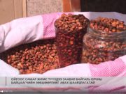 БИЧЛЭГ: Тарвага агнасан 16 хүний галт зэвсгийг хураан авчээ zowshoorlgui-tarwaga-agnajee