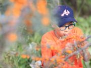 ФОТО: Жимсний хаан “Чацарганы баяр” ес дэх жилдээ боллоо Chatsarganii_bayr_01