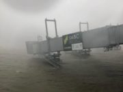 Японд сүүлийн 25 жилд тохиолдоогүй “далайн хар шуурга” нүүрлэв Yopon-uls