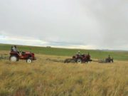 Нийт 600 мянга гаруй тонн өвс, 30 мянга гаруй тонн тэжээлийг бэлтгээд байна hadlan