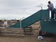 Улсын хэмжээнд 16.2 сая малыг угаалгад хамруулаад байна maliin_ugaalga