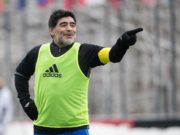 Домогт Марадона шинэ ажилд томиглогдлоо maradonna