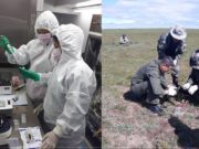 Дорнод аймагт мэрэгчээр болон хачгаар дамждаг халдварт өвчний судалгаа хийлээ meregch_amitnii_sudalgaa