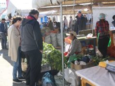 “Намрын ногоон өдрүүд” 13 дахь жилдээ… namriin_nogoon_odruud_2018