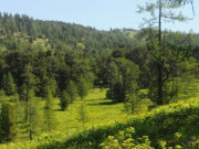 Ойн аж ахуйн чиглэлийн сургалтыг ҮНЭ ТӨЛБӨРГҮЙ хийж байна oin_aj_ahui