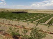 Ойн зурвас буюу тариалангийн талбайг тойруулан МОД ТАРИХ ажил хийгдэнэ oin_zurwas